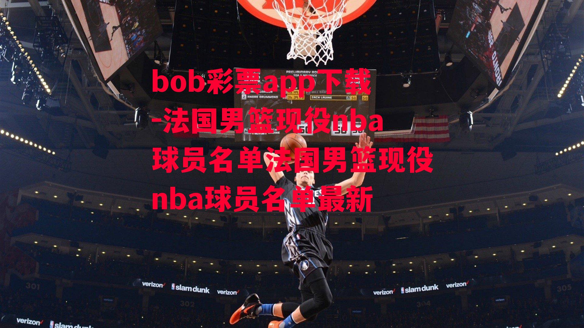 法国男篮现役nba球员名单法国男篮现役nba球员名单最新